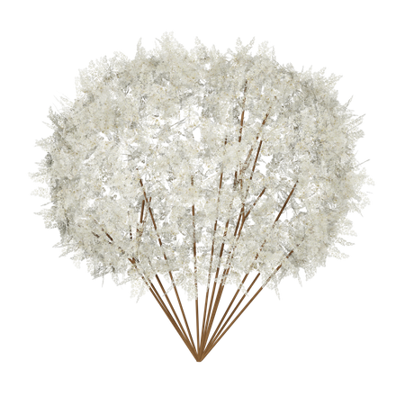 Primavera arbusto branco  3D Icon