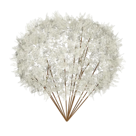 Primavera arbusto branco  3D Icon