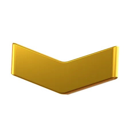 Private  3D Icon