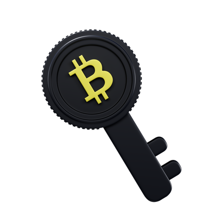 Privatekey  3D Icon