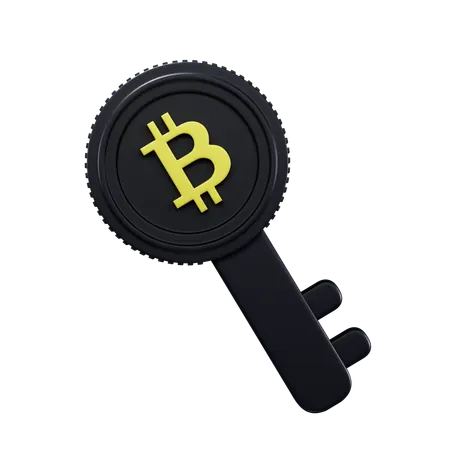 Privatekey  3D Icon