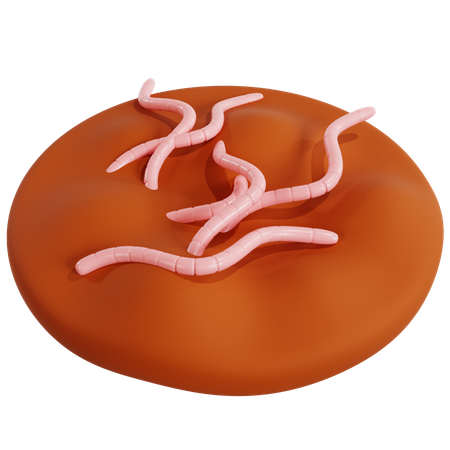 Proceso de Vermicompostaje para el Manejo de Residuos Orgánicos  3D Icon