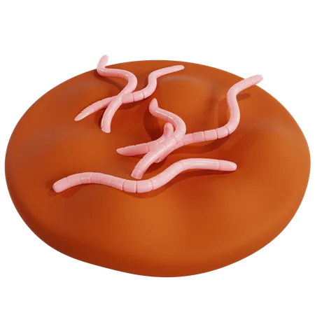 Proceso de Vermicompostaje para el Manejo de Residuos Orgánicos  3D Icon