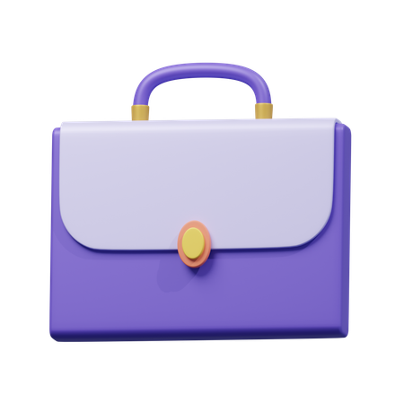 Professional Briefcase  3D Icon