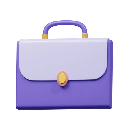 Professional Briefcase  3D Icon