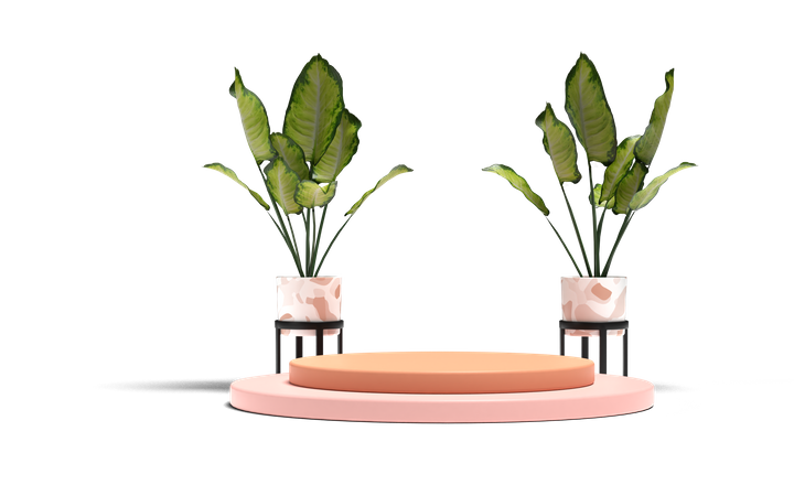 Promotion Display  3D Icon