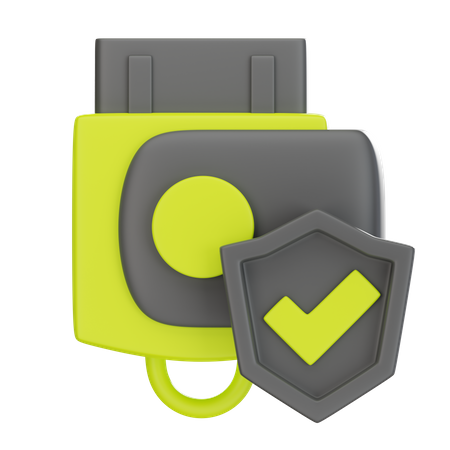 Protection du disque flash  3D Icon