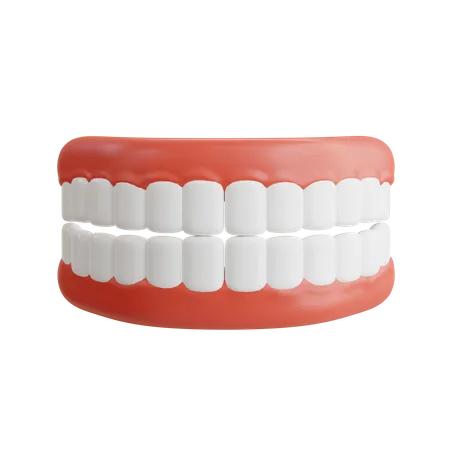 Dentier  3D Icon
