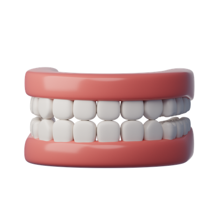 Dentier  3D Icon