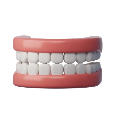 Dentier  3D Icon