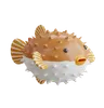 Puffer Fish