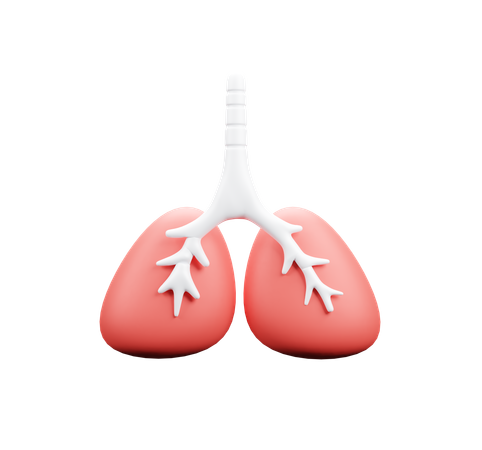 Pulmones  3D Icon