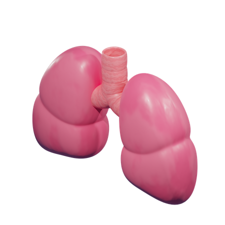 Pulmones  3D Icon