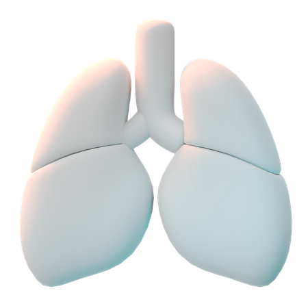 Pulmones  3D Icon