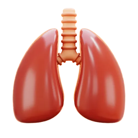 Pulmones  3D Icon