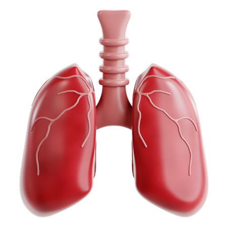 Pulmones  3D Icon