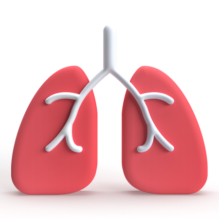 Pulmones  3D Icon