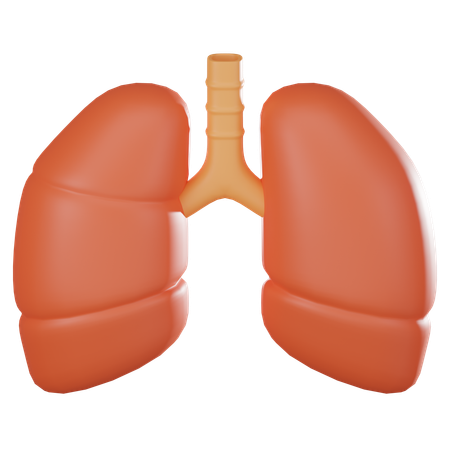 Pulmones  3D Icon