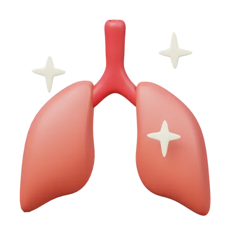 Pulmones  3D Illustration