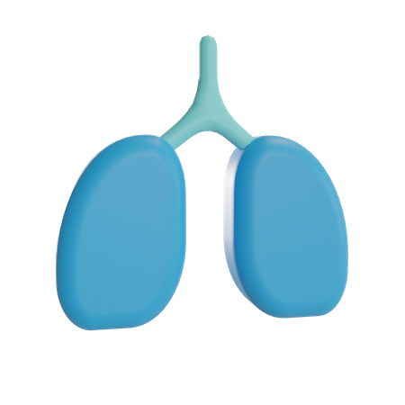 Pulmones  3D Illustration