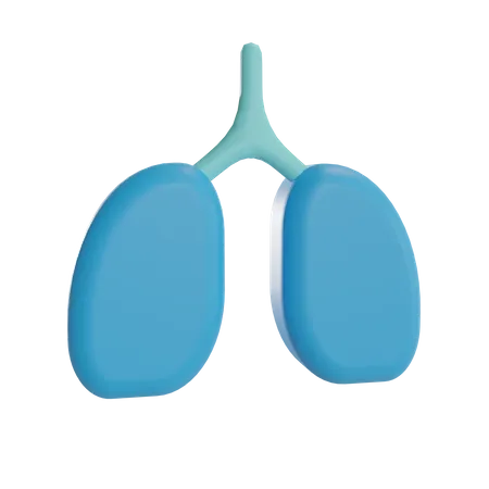 Pulmones  3D Illustration