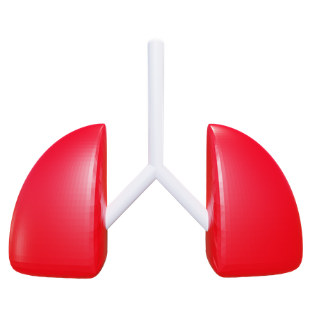 Pulmones  3D Icon