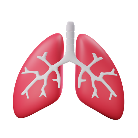 Pulmones  3D Icon