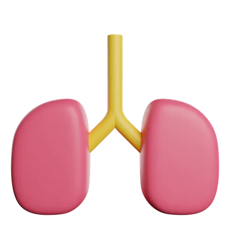 Pulmones  3D Icon