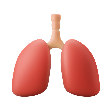 Órgano de los pulmones  3D Illustration