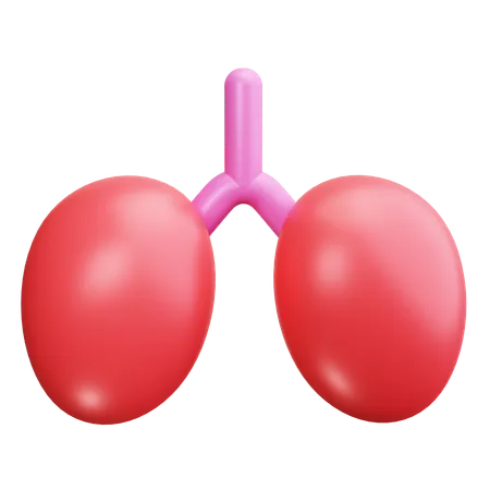 Pulmonology  3D Icon