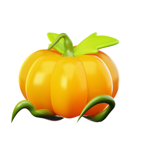 Pumpkin  3D Icon