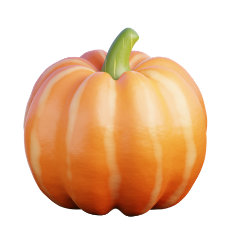 Pumpkin  3D Icon