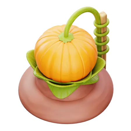 Pumpkin  3D Icon