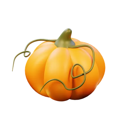 Pumpkin  3D Icon