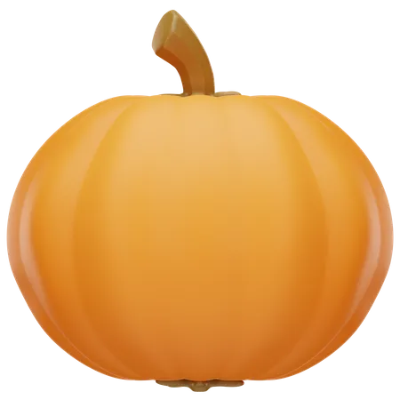 Pumpkin Fruit  3D Icon