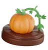 pumpkin plant