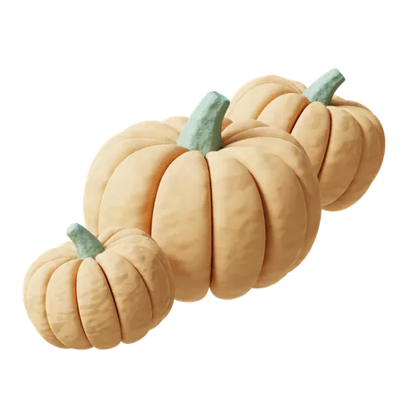 Pumpkin S  3D Icon