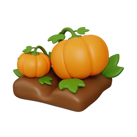 Pumpkins  3D Icon