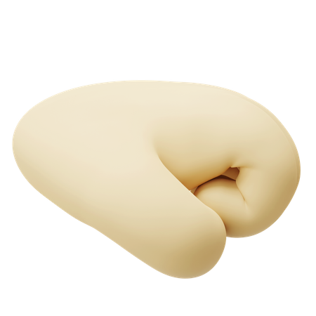Punch Hand Gesture  3D Icon