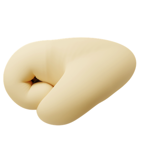 Punch Hand Gesture  3D Icon