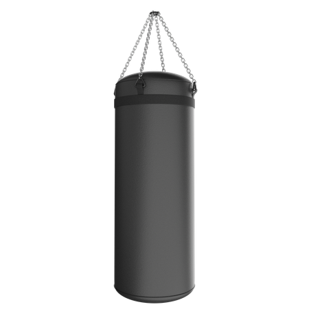 Punching Bag  3D Icon