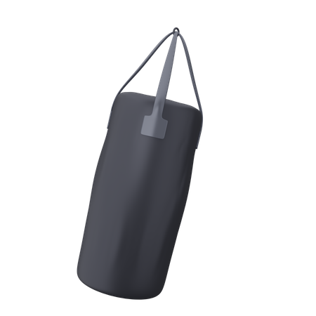 Punching Bag  3D Icon