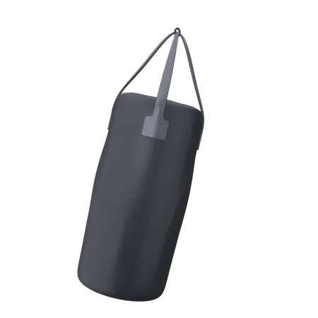 Punching Bag  3D Icon