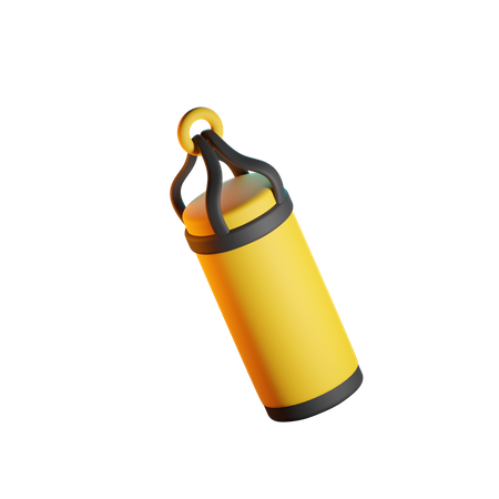 Punching Bag  3D Icon