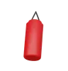 Punching Bag