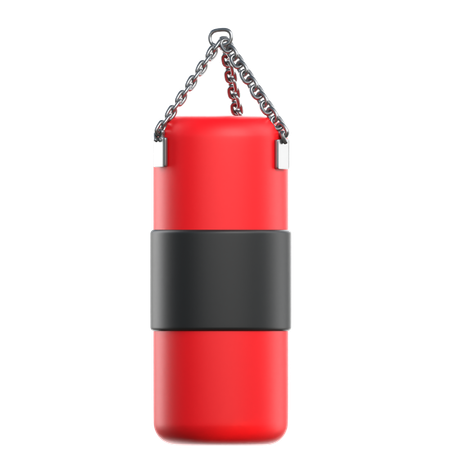 Punching Bag  3D Icon