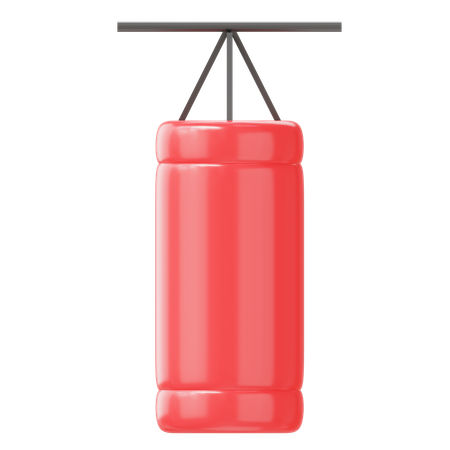 Punching Bag  3D Icon