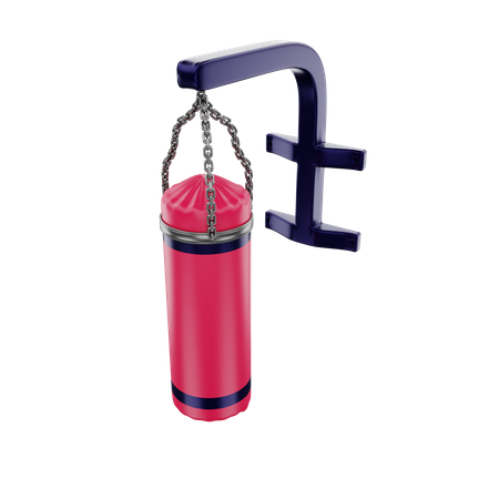 Punching Bag  3D Icon
