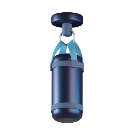 Punching Bag  3D Icon