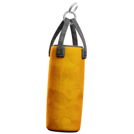 Punching Bag  3D Icon